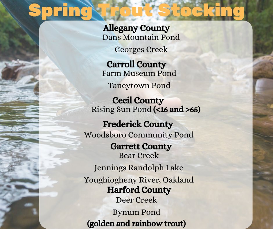 Spring Trout Stocking April 9, 2024 Find the trout stocking map and more at: dnr.maryland.gov/fisheries/Page…