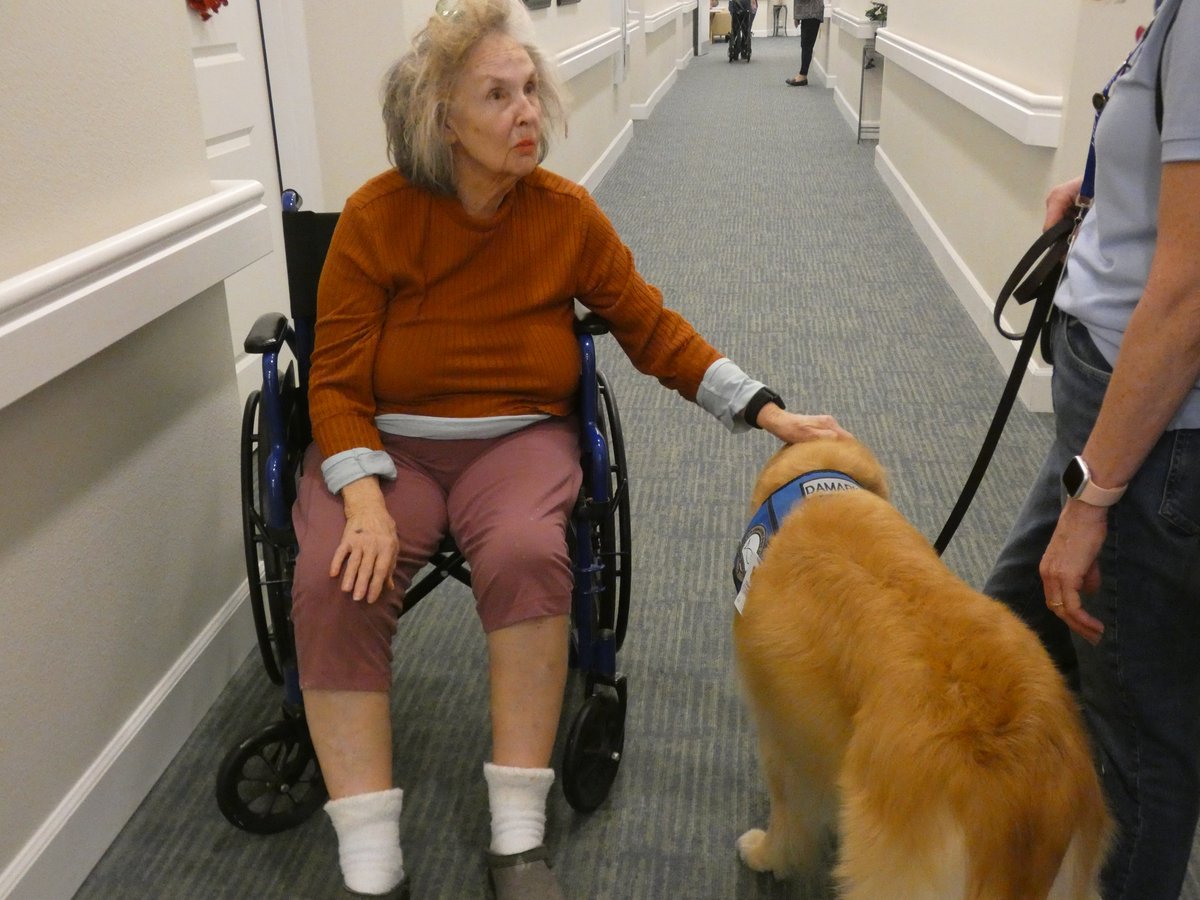 Our favorite furry friend Damaris is back to meet our Assisted Living residents at @thevillageatsugarland 🐾 ❤️ 🐾 ❤️ We simply love you, @DamarisComfortDog ❤️ #Damaris #ComfortDog #TheVillageatSugarLand #AssistedLiving