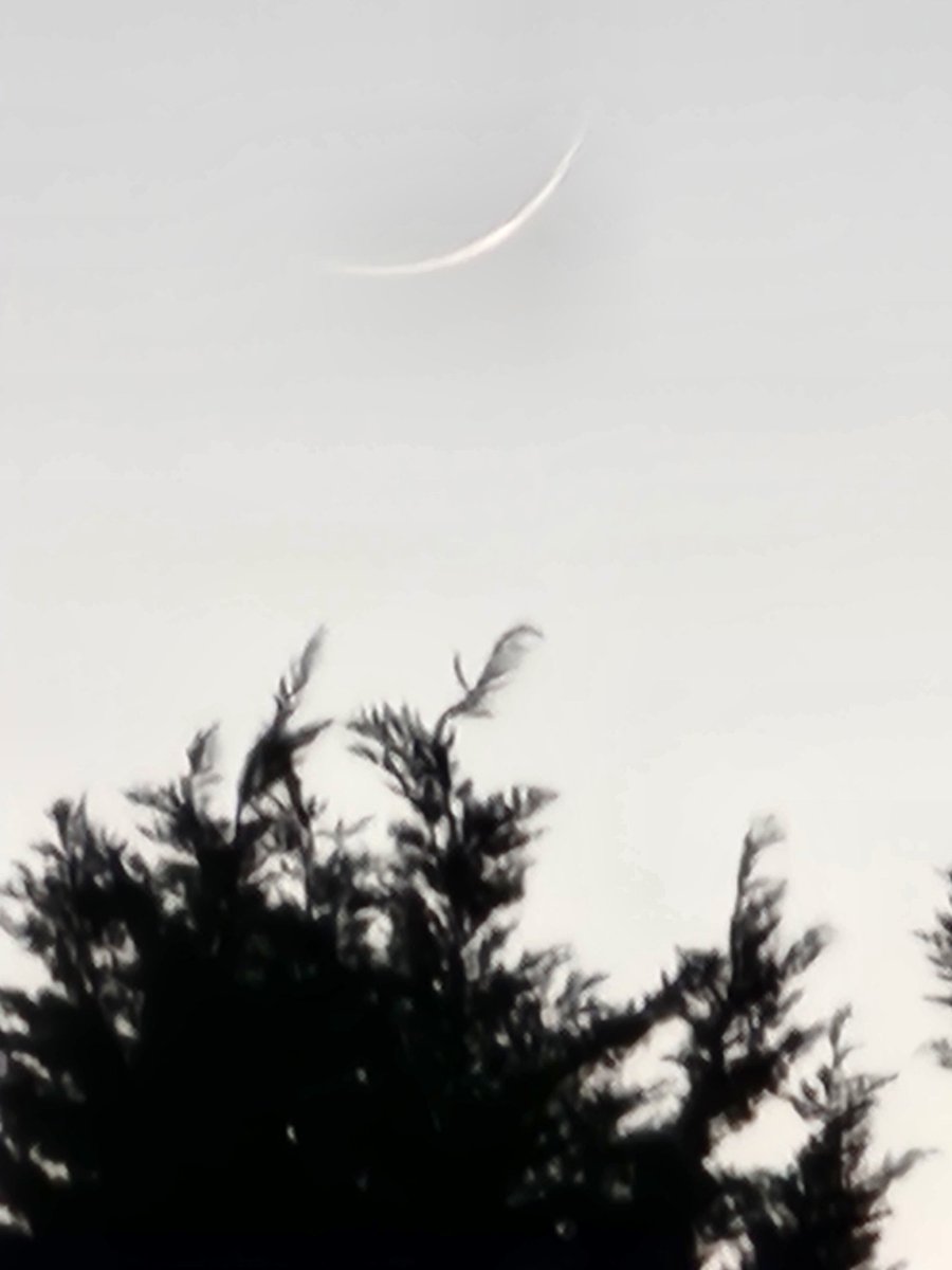 #Leicester local #MoonSighting 8.20pm
#EidMubarak to you all.