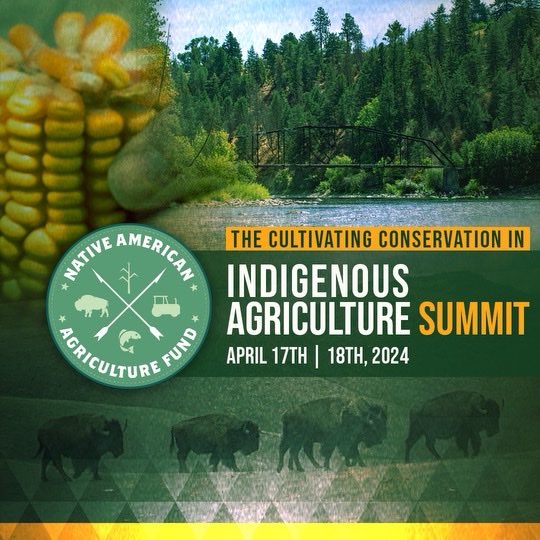 ✨Register Today! 🌱✨The Native American Agriculture Fund (NAAF) is hosting its inaugural conservation programming, “The Cultivating Conservation in Indigenous Agriculture Summit” Hear about unique and innovative opportunities in Indian Country Ag! 🔗: lp.constantcontactpages.com/sl/OvVsPpd/CCA…