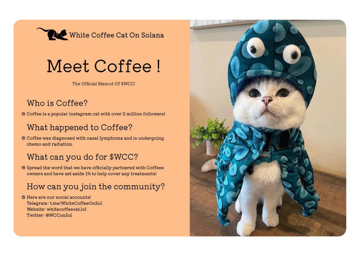 @fxnction Looking to buy Coffee $WFF
@WCConSol 

Here’s what Coffee is about