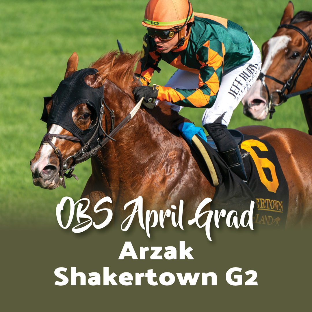 Arzak (2020 OBS Spring grad), a son of Not This Time, has won the G2 Shakertown Stakes last weekend. This pushes his earnings to over $820k and his second G2 win on the Keeneland track. Get your next champion at OBS Spring on April 16-19th. #obssales