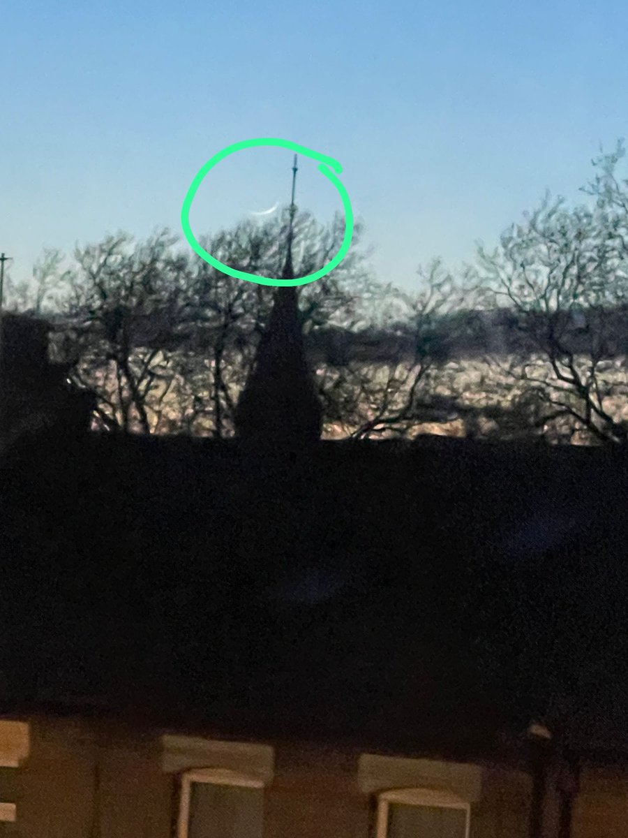 Walthamstow - Positive sighting - multiple witnesses