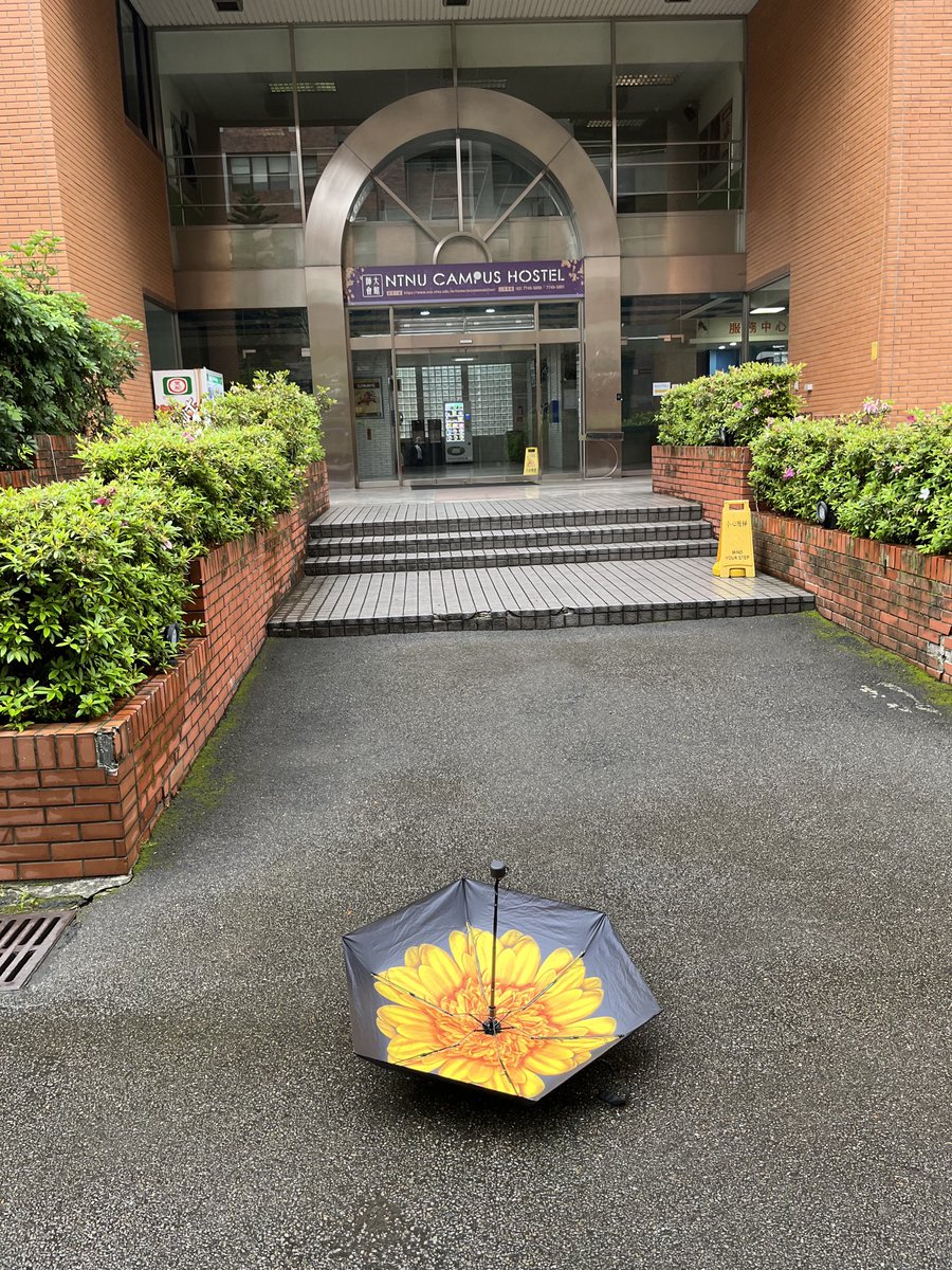 I’m hoping for rain free days as predicted while here in Taipei, but you never know, so I’m glad that courtesy of a memorable Berkeley conference I have just the right umbrella for an Umbrella & Sunflower movements event