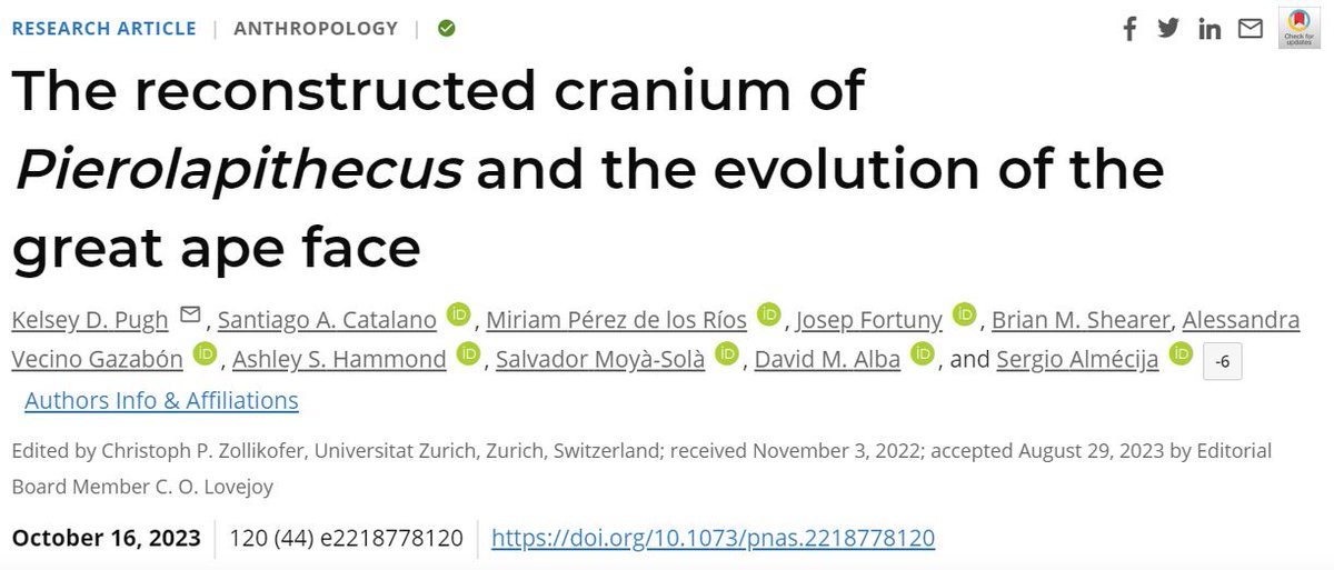 BA WMN (@ba_wmn) on Twitter photo 🚨#BAWMNCiteClub #10 is from <a href="/ashleyshammond/">Ashley Hammond</a> for <a href="/kpewpew/">Kelsey Pugh, Ph.D.</a> et al.: The reconstructed cranium of Pierolapithecus and the evolution of the great ape face 💀 doi.org/10.1073/pnas.2…
#CiteWomenWednesday - submit the work of women in bioanth here: tinyurl.com/mr273pec 🚨#BAWMNCiteClub #10 is from <a href="/ashleyshammond/">Ashley Hammond</a> for <a href="/kpewpew/">Kelsey Pugh, Ph.D.</a> et al.: The reconstructed cranium of Pierolapithecus and the evolution of the great ape face 💀 doi.org/10.1073/pnas.2…
#CiteWomenWednesday - submit the work of women in bioanth here: tinyurl.com/mr273pec