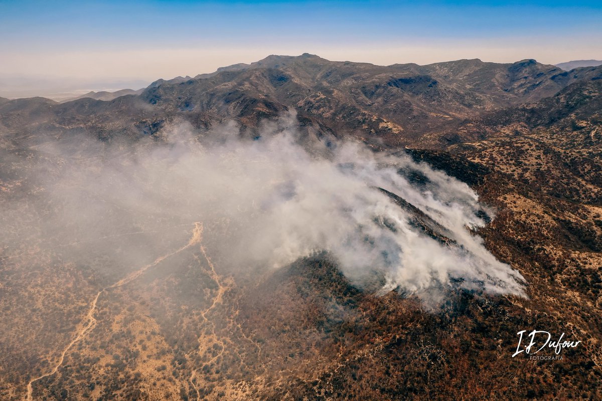 Incendio en la Sierra de San Miguelito en San Luis Potosí