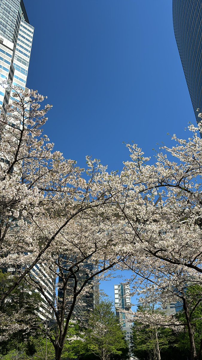 雨にも負けず風にも負けず

今日はこの後しゃかりきカニさんと4/24に向けてのムフフな打ち合わせ！！ からのPTAの集まり！！どちらも楽しんで行こう！！