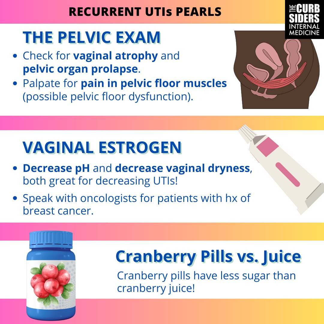 🚨🛎️🔥 High Yield Infographic Alert! ➡️ Swipe for recurrent #UTI pearls!!! And remember it’s not always a UTI! 💫Want more? Tune into episode #434: Ur-INe for Recurrent UTI?! with Dr. Kellen Choi, DO, AKA The Bladder Teacher @KellenChoi #MedEd
