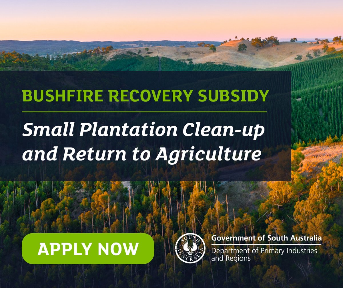 Plantation landholders. 🌲 If you were impacted by the Cudlee Creek bushfire, you may be eligible for the 'Small Plantation Clean-up and Return to Agriculture Subsidy' from the SA Government. 📅 Don't miss out, find out more and apply by May 10 here 👉 ow.ly/xCAm50Ra6Wq