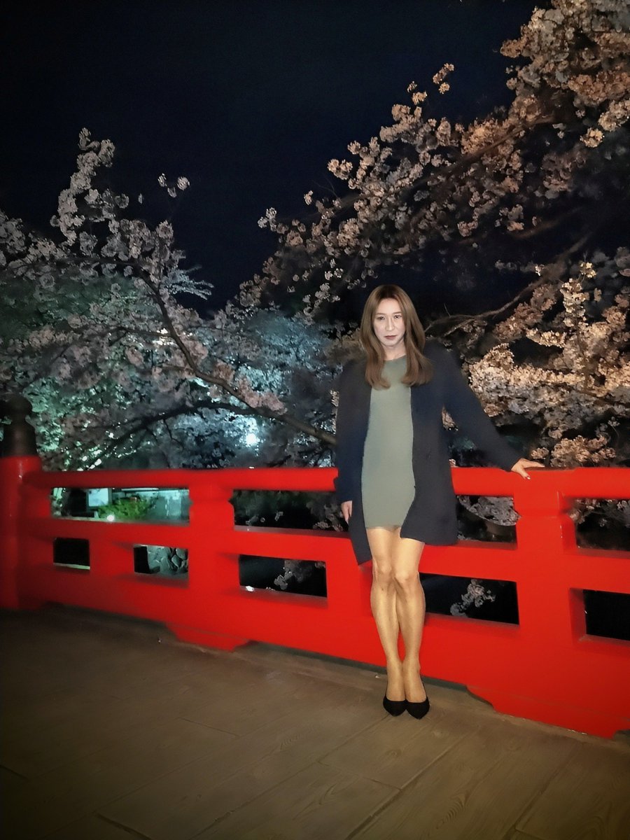 2019_akemi's tweet photo. 夜桜、間に合いました。 https://t.co/Om79oYXgxj