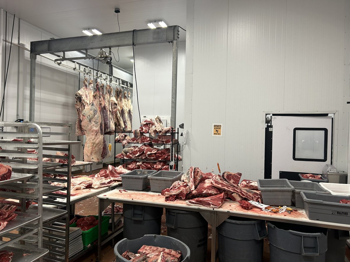 The fruits of our labor is being able to raise our cattle for almost 2 years to bring healthy beef to a families dinner table. We are proud to now process for over 400+ ranchers!