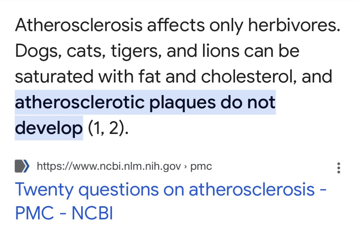 If saturated fat causes heart disease why do no carnivorous animals like lions get it? And then why do animals like sheep, goats and pheasants that only eat grains and leaves get it? We’re missin something here…