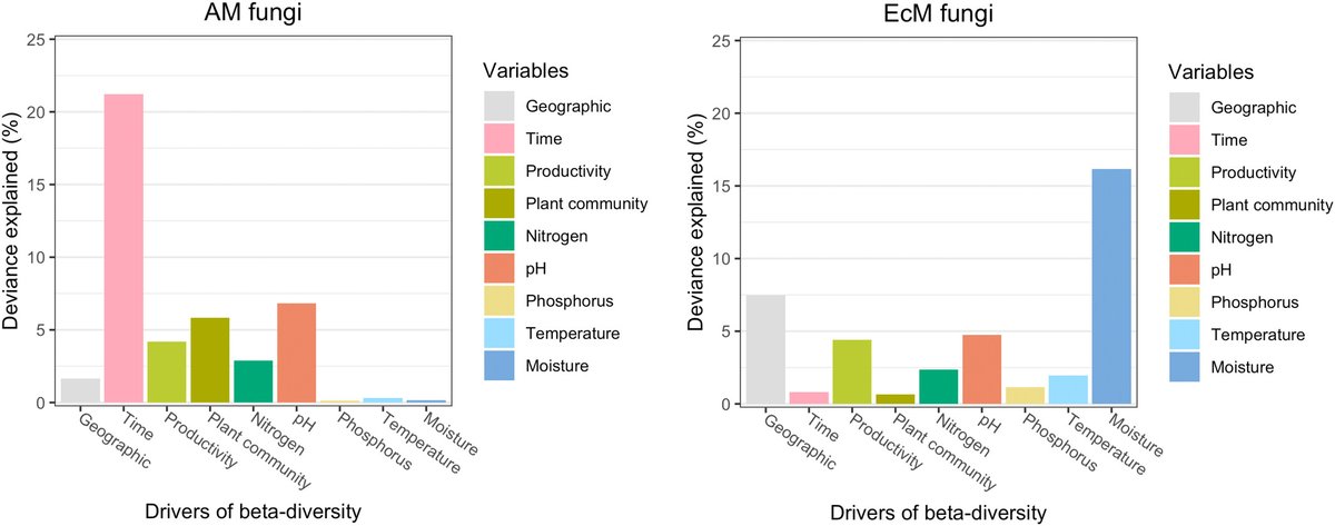 Dynamics and drivers of mycorrhizal fungi after glacier retreat 📖 ow.ly/Wnnr50RaoGF by Carteron et al. @LaStatale @Dynafor_Lab @AlexisCarteron #PlantScience #mycorrhizalfungi #glacierretreat