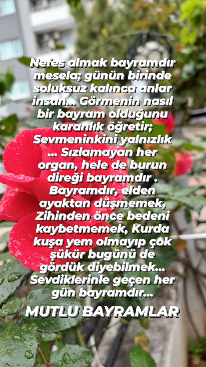 Nefes almak bayramdır mesela; günün birinde soluksuz kalınca anlar insan… Sevdiklerinle geçen her gün bayramdır… Can Yücel Mutlu bayramlar...💙🦋