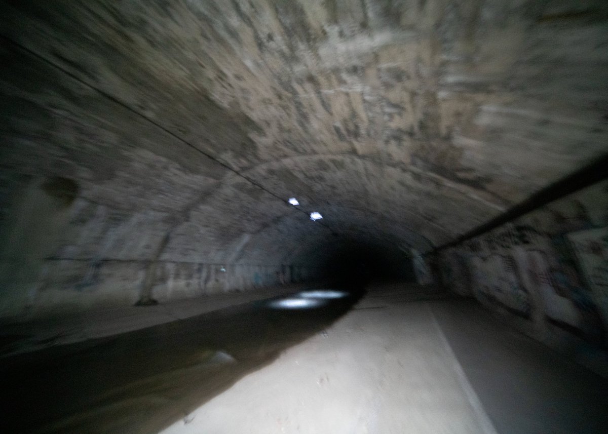 Benjamin Anderson tweet media