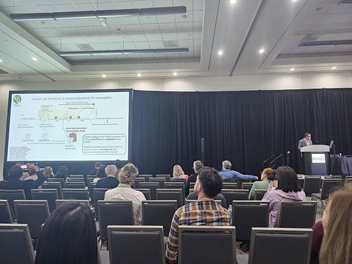 Another cool dormancy story from @JAguirreGhiso led by @micpapanicolaou addressing stromal mutations during aging and their influence on the awakening of metastatic seeds!! What a story!! #AACR24