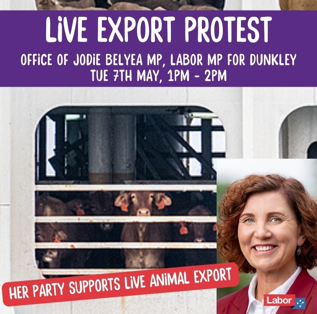 #Ban_live_sheep_export #LegislateTheDate