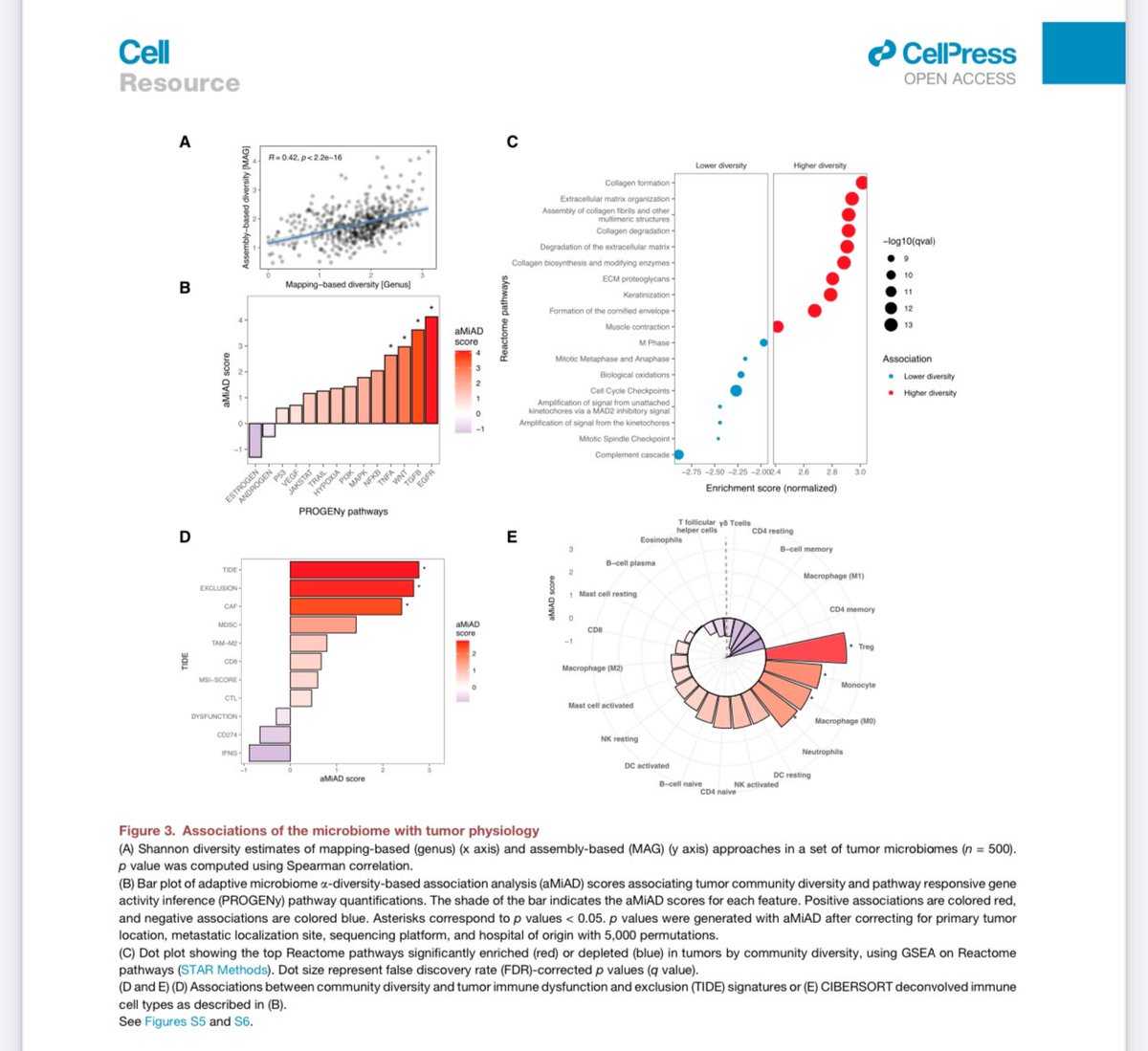 NEW Study of 4.2K mets from 26 tissue types to eval composition, evolution, & relevance of #microbiome. Many insights: organ-specific tropism, microbial diversity & TILs, Fusobacterium & #ImmunoOnc in #lcsm. CNS tumors stand out (Fig 2B) 👀 #btsm #AACR24 
cell.com/cell/pdf/S0092…