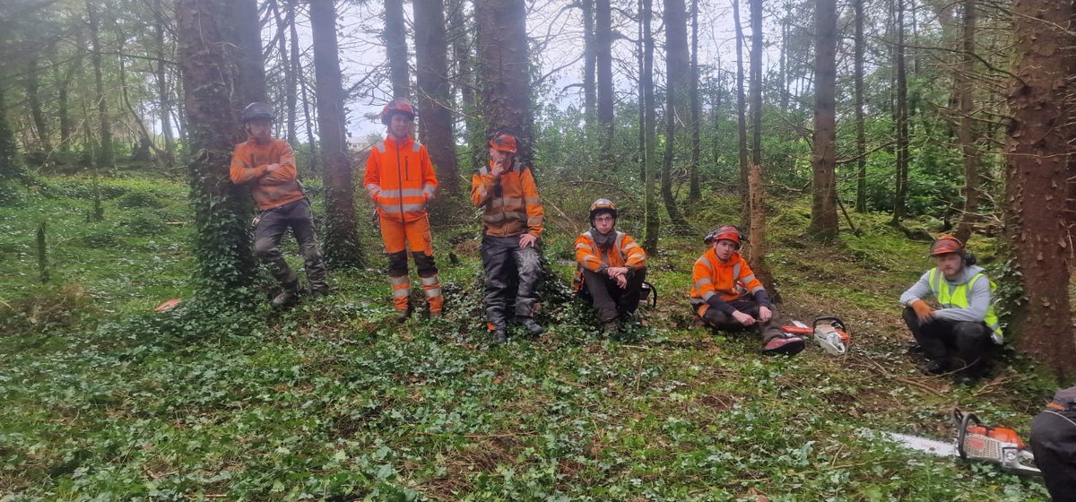 National Apprenticeship in Arboriculture (IRL) tweet media