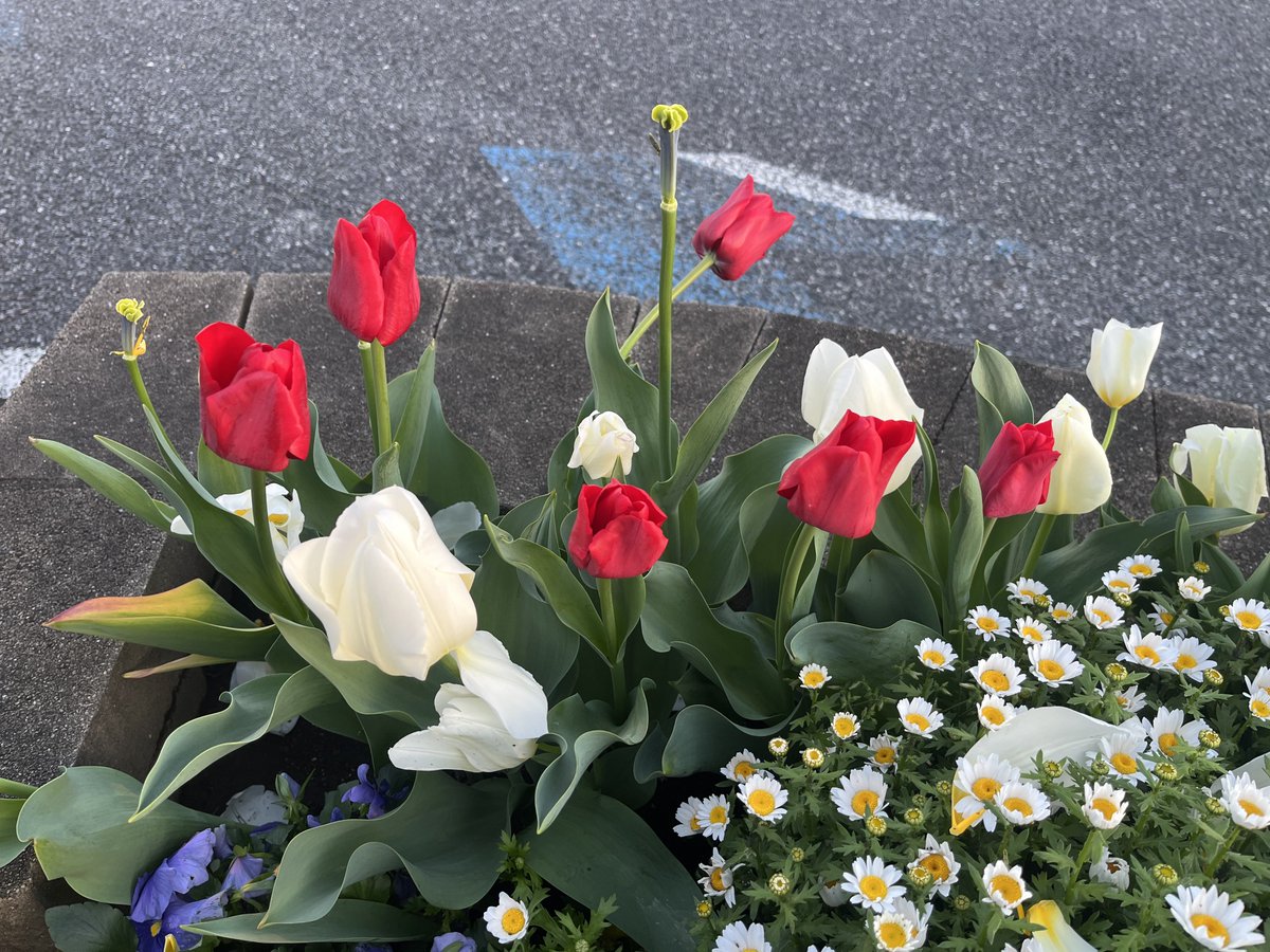 おはようございます☀ 風の冷たい朝です。 坂の上から🌅が。