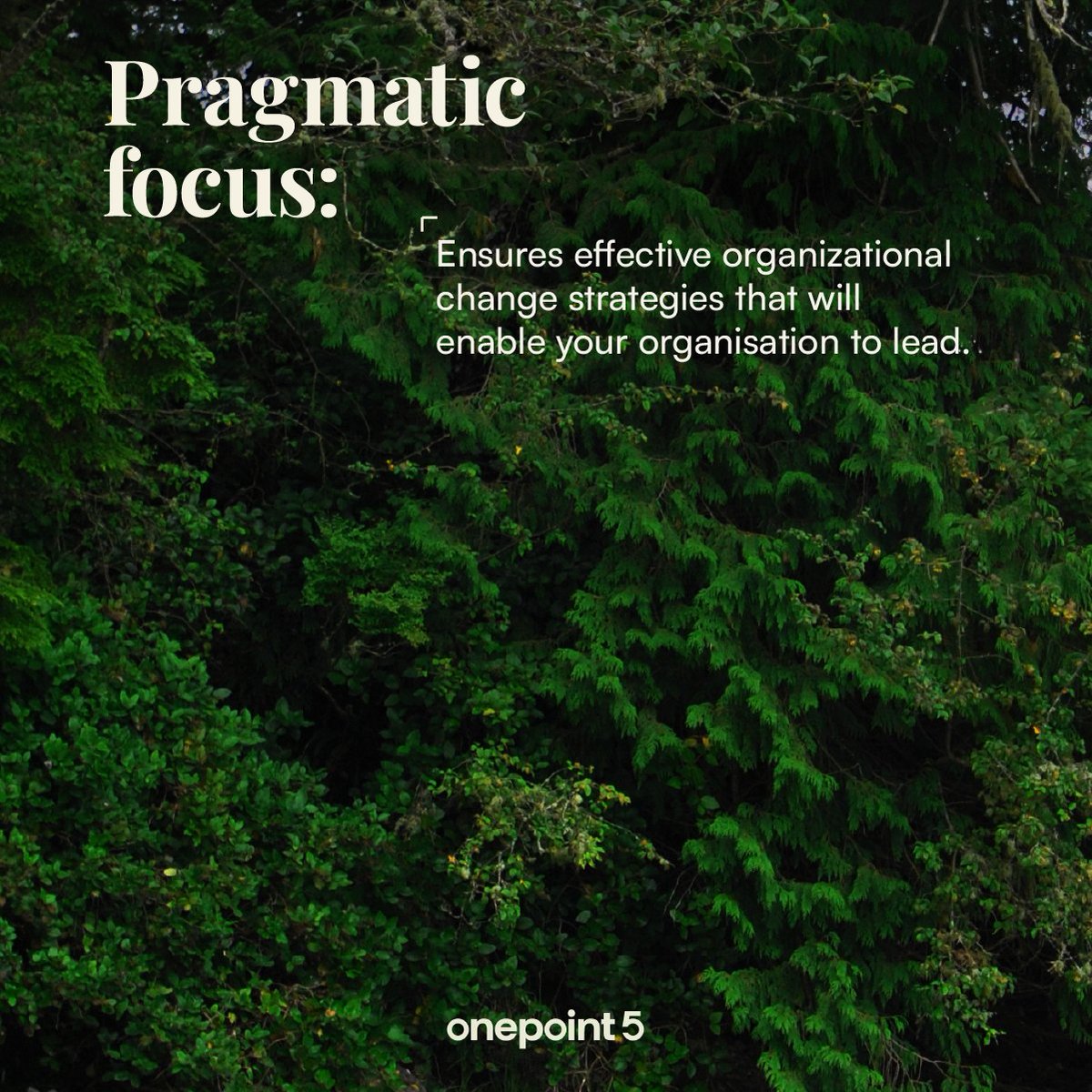 We at onepoint5 understand the actors, norms, and standards. Collaboration between all actors - public, private and civil society - is critical to drive progress. Our pragmatic focus ensures effective organizational change strategies that will enable your organisation to lead.