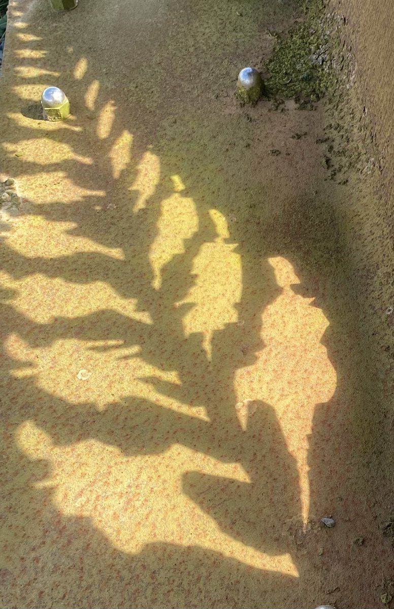 Sunlit ghost marching to oblivion. Somme today.