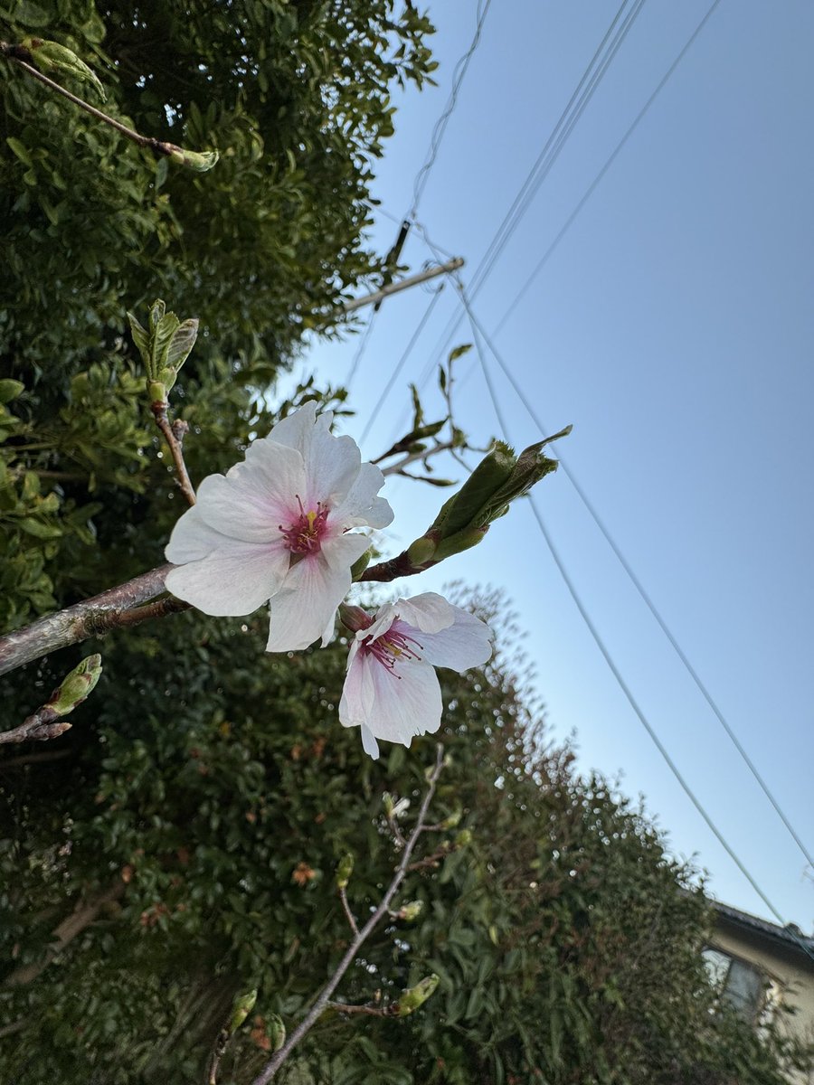 ユージさん、明世さん、皆様

おはようございます🌞

気持ちの良い朝です。

深呼吸して、笑顔でいきましょう😊

笑門来福

 #ワンモ
#イマソラ
#TOKYOFM 
#ユージ
#吉田明世
#白山