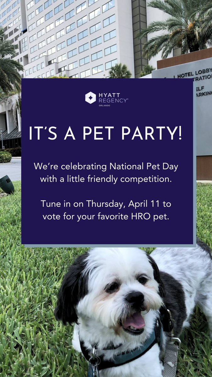 This Thursday, join us as @hyattorlando celebrates #NationalPetDay with our Cutest Pet Contest! 🐾 Watch this space to view all 24 participating HRO team member's paw-some pets and then vote for your favorite online. #FurBaby #petfriendly #visitorlando