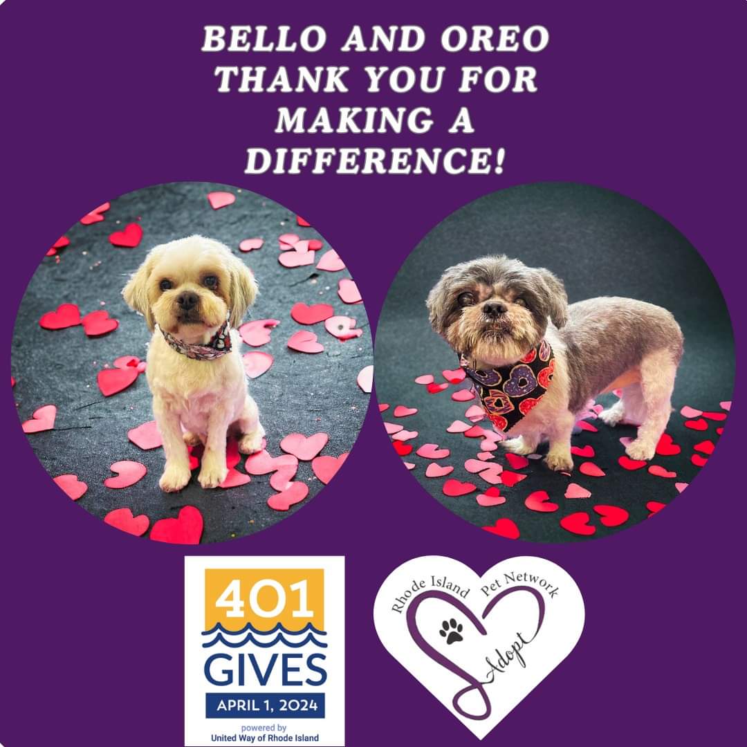 Thank you for making our first @401Gives campaign a success! 😊 We raised $1,400 in 36 hours, thanks to 27 generous donors & matches. Your support makes it possible for us to aid local shelters, rescues, and struggling pet owners. Visit RIpetnetwork.org to learn more!