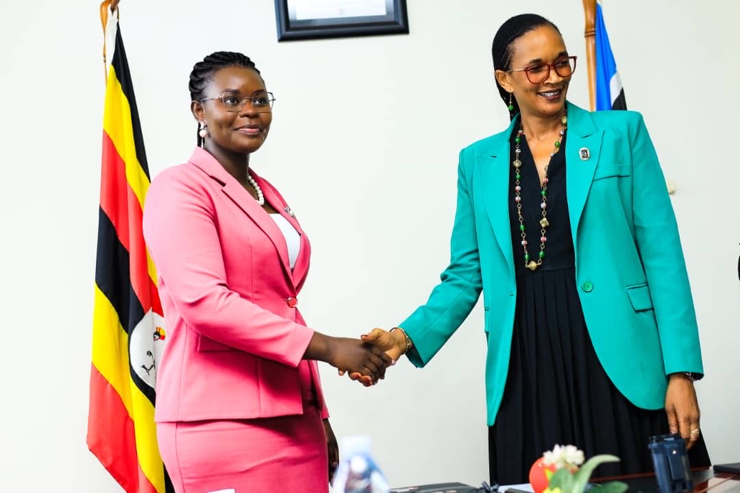 Lillian Aber tweet media