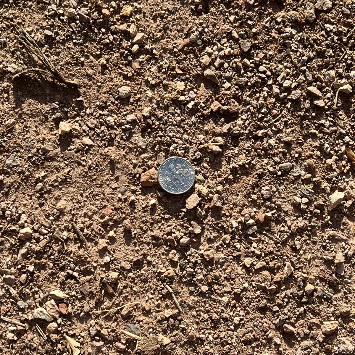 atlan | jose 🏹 tweet media