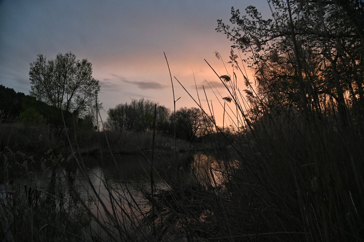 Anochece en el río Henares
#AlcalaDeHenares #fotografía
