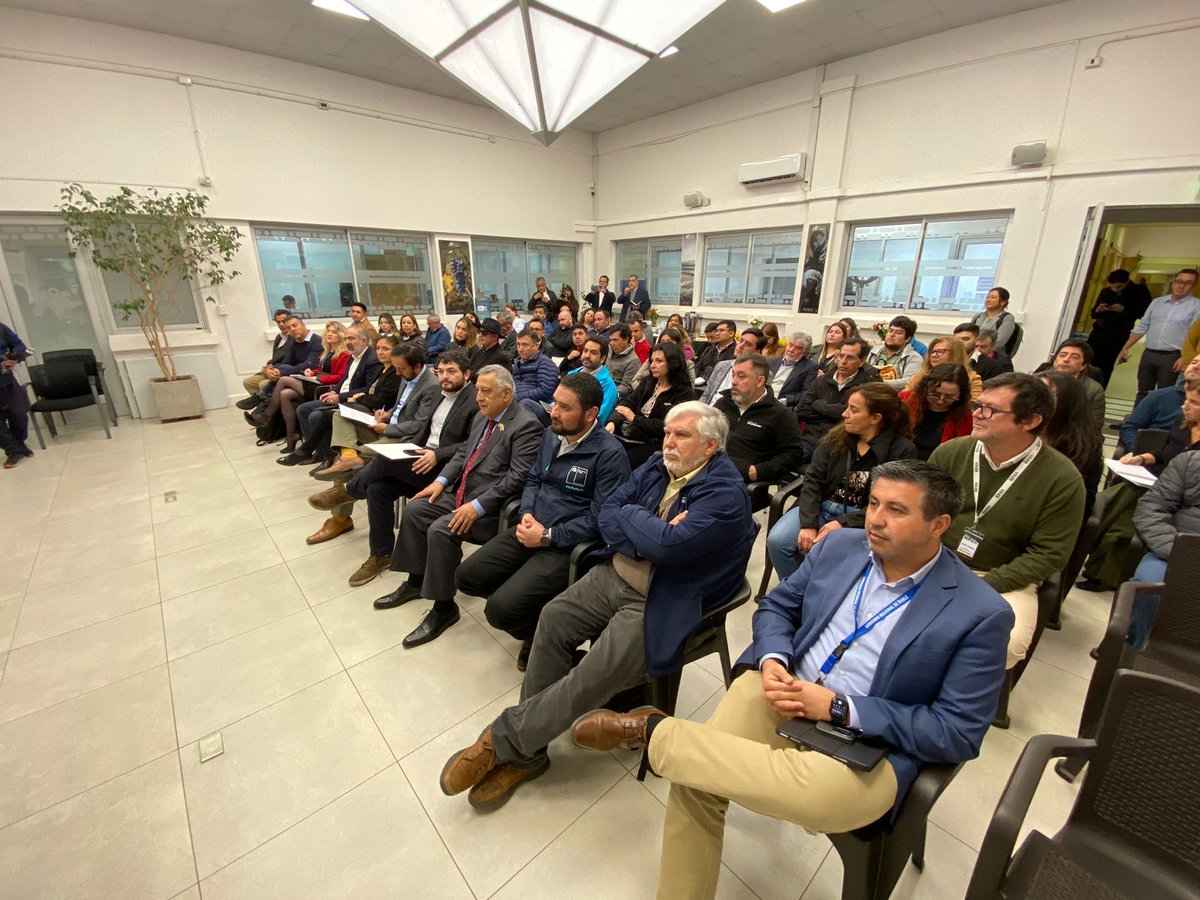 CorfoÑuble tweet media