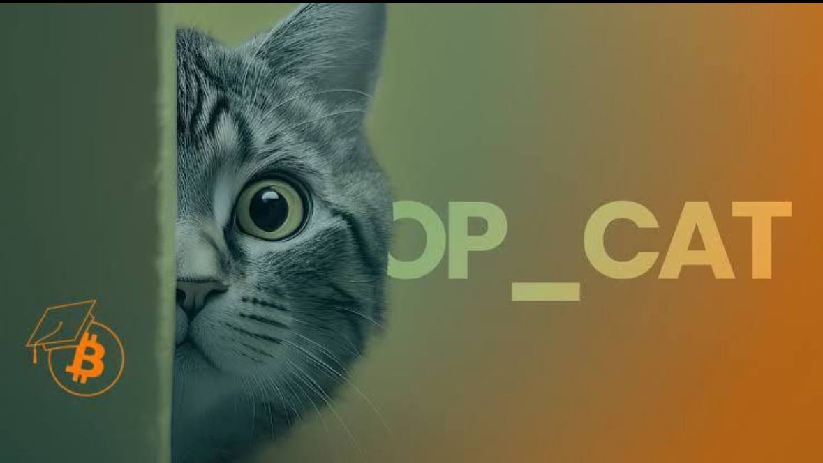 Meow! 🐈 OP_CAT has the goal of restoring functionality that was available in early versions of the network software but was removed by Satoshi Nakamoto in 2010. The BIP's developers see OP_CAT as a simple upgrade to introduce greater functionality for the building of L2s,…