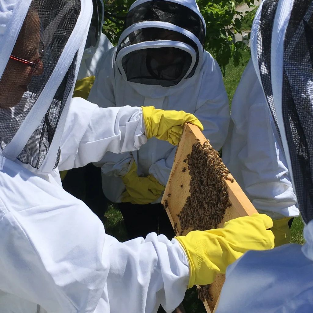 📣🐝Our Meet the Bees Hive Tour Season starts May 4th! Join us at either @Vbgcq's Sky Farm or at @GreenWoodHF to get up close to honey bees, witness honeycomb wonders & understand bees' vital role in our environment. Secure your spot now: l8r.it/cchJ