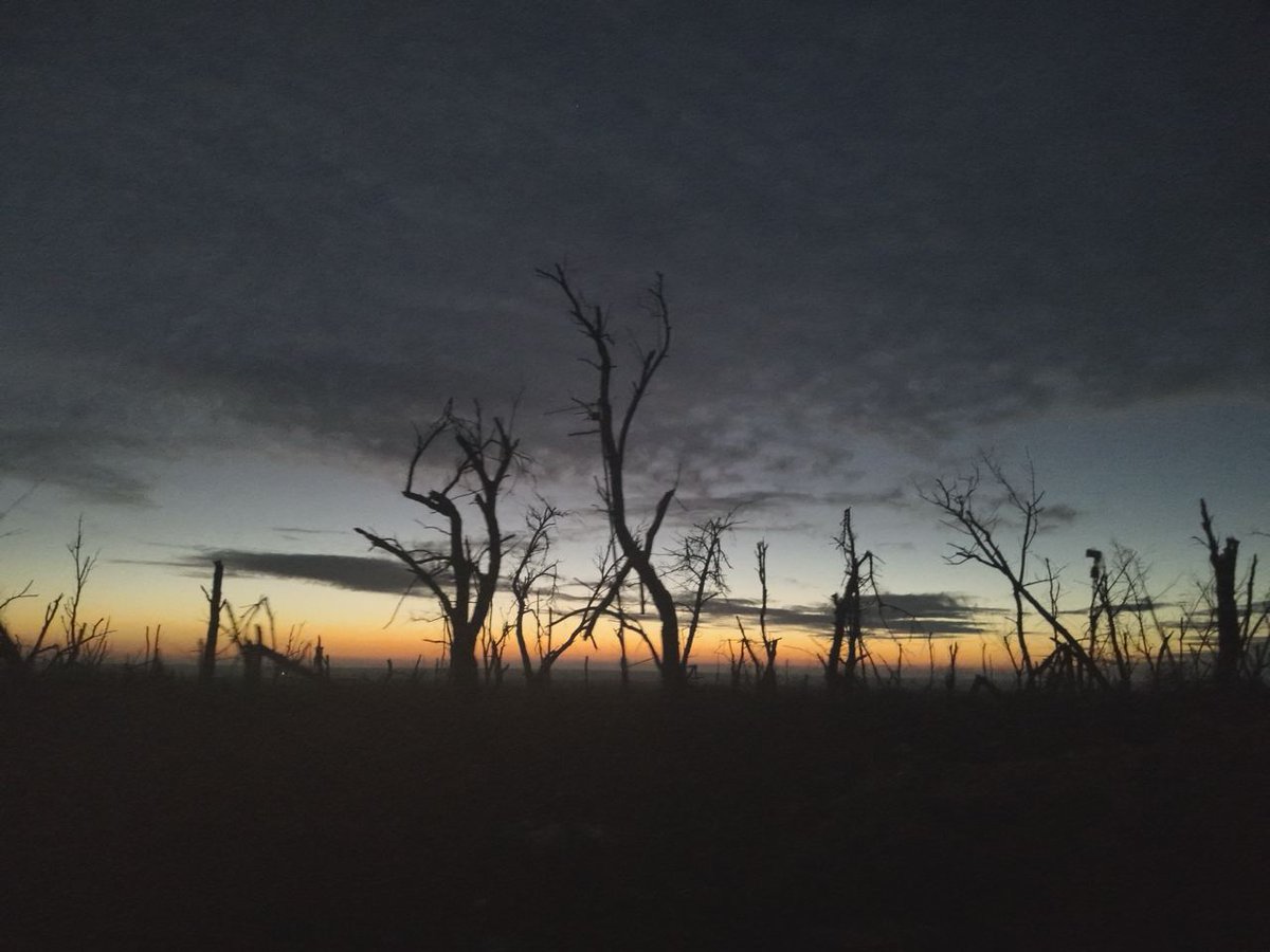 Навряд чи ще десь отримують таке задоволення від сходу сонця.

Його перші, ще холодні промені, пробиваються крізь скло автомобіля, і падають на десятки тисяч втомлених облич.
Обличчя невміло посміхаються, примружуючі очі.

Промені сонця спотикаються крізь загородження