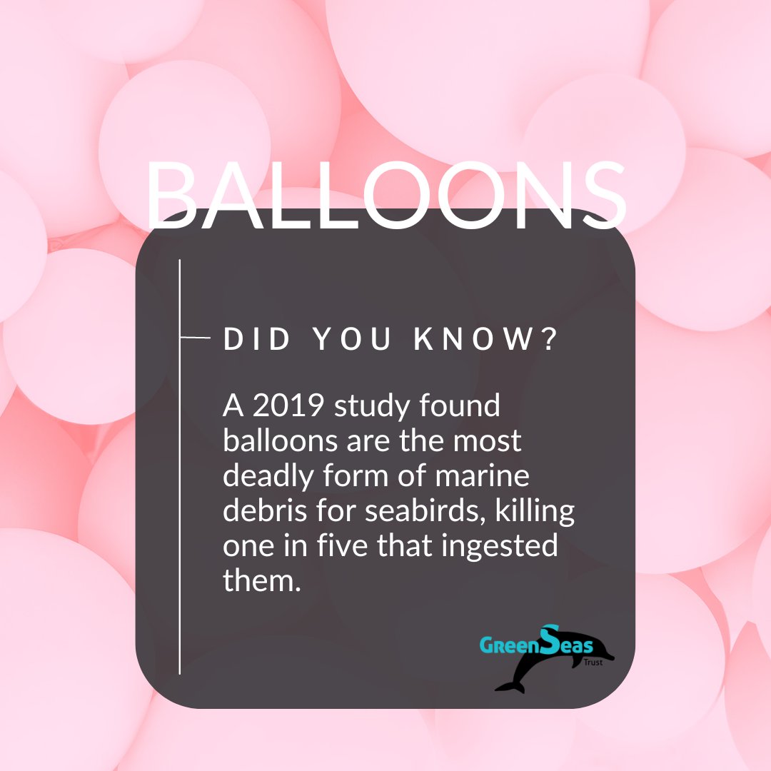 They have to come down somewhere. Even balloons marketed as biodegradable have been found in the environment years after release, and have been found in the bodies of various marine life, including whales, dolphins, and seabirds.

#GreenSeasTrust #PlasticPollution #SaveOurSeas