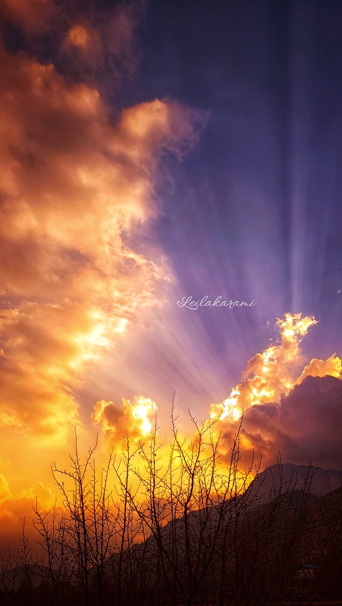 Lilykmkm's tweet photo. #sunset #NaturePhotography https://t.co/THQdKXygll