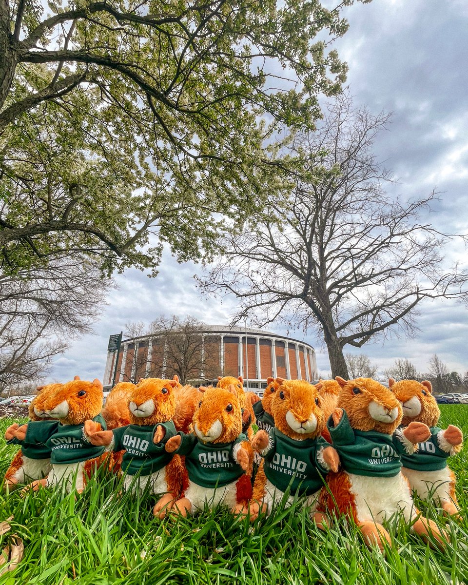 A scurry of 1,000+ squirrels 💪 We've passed the 1K mark on named squirrels for #OHIOGivingDay! 🐿️ » givingday.ohio.edu