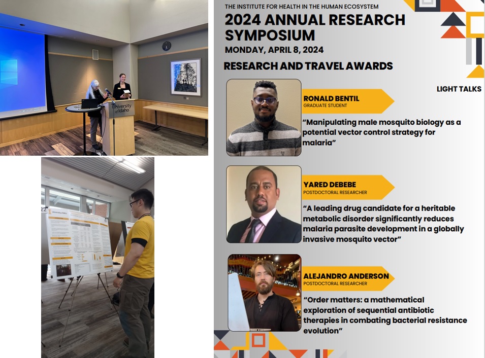 Institute for Health in the Human Ecosystem (@ui_ihhe) on Twitter photo Thanks to all for joining us at the IHHE Annual Research Symposium 2024 <a href="/rohrecologylab/">Rohr Ecology Lab</a> <a href="/ui_IHHE/">Institute for Health in the Human Ecosystem</a> @ShirleyLuckhart <a href="/EdwinLe76476599/">Edwin Lewis</a> #BVBDcommunity
<a href="/essah_bentil/">Ronald Bentil</a> <a href="/YareDesta/">Yared Debebe Desta</a> <a href="/Alejandro_Redna/">Alejandro Anderson</a> Thanks to all for joining us at the IHHE Annual Research Symposium 2024 <a href="/rohrecologylab/">Rohr Ecology Lab</a> <a href="/ui_IHHE/">Institute for Health in the Human Ecosystem</a> @ShirleyLuckhart <a href="/EdwinLe76476599/">Edwin Lewis</a> #BVBDcommunity
<a href="/essah_bentil/">Ronald Bentil</a> <a href="/YareDesta/">Yared Debebe Desta</a> <a href="/Alejandro_Redna/">Alejandro Anderson</a>