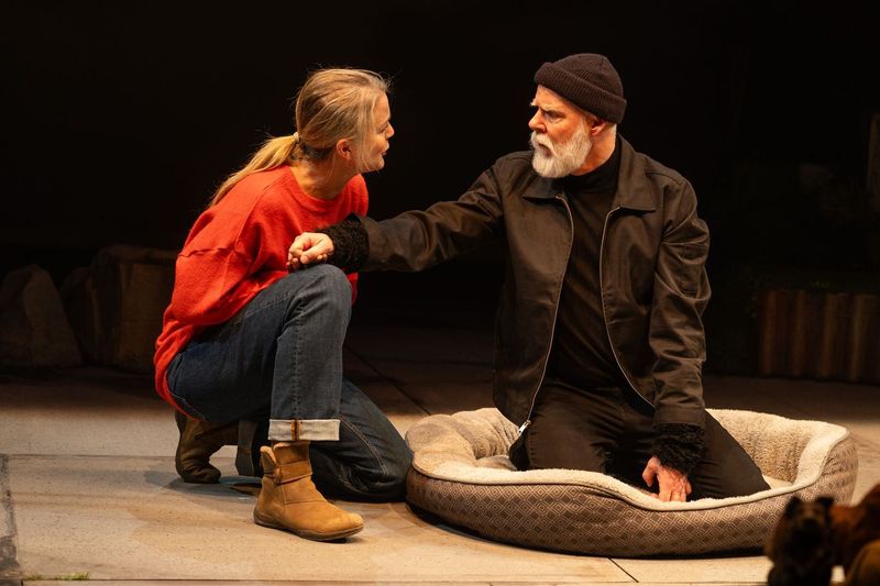 Here is my👍review <a href="/CurtainsUpTV/">CurtainsUP</a> for the terrific show Fifteen Dogs now playing <a href="/segalcentre/">Segal Centre</a> until April 21.
wp218334.wpdns.ca/segals-fifteen…