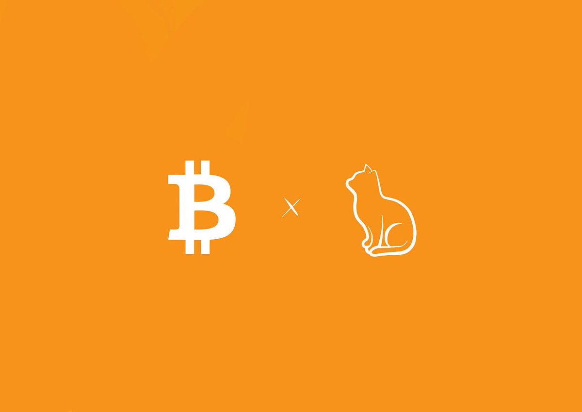 Meow! 🐈 As Bitcoin developers experiment with features and upgrades that increasingly resemble the vibrant activity on alternative blockchains like Ethereum, some of programmers are pushing for a revival of a piece of code that existed on the network in its early days. A…