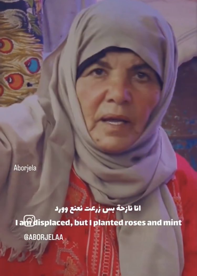 ‘i am displaced, but i planted roses & mint’ eid mubarak to the people of gaza & all our muslim siblings. may you always be blessed with roses & mint & the power to plant them.
