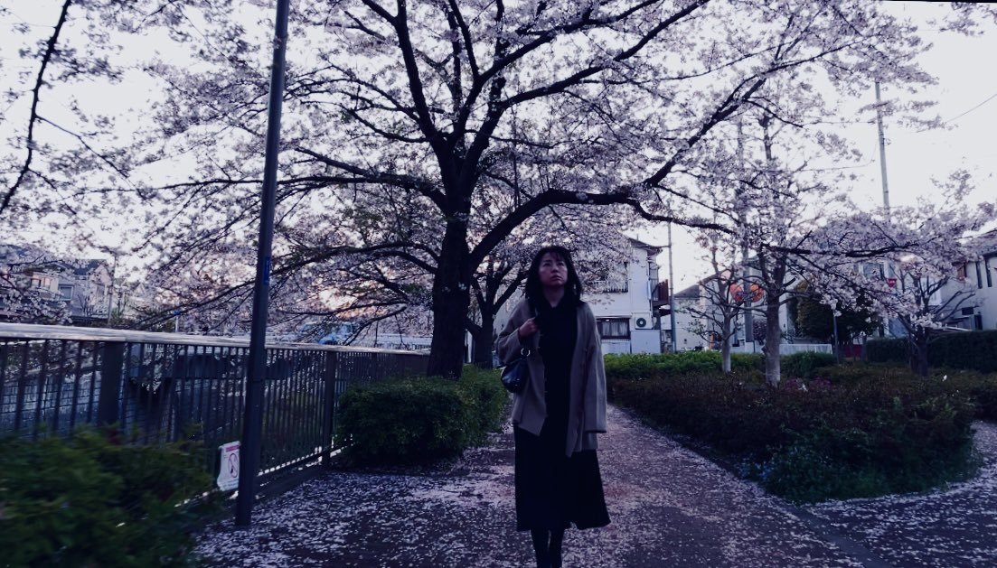 komokappa's tweet image. 「#Lastnote」
夜明けを狙って撮影。