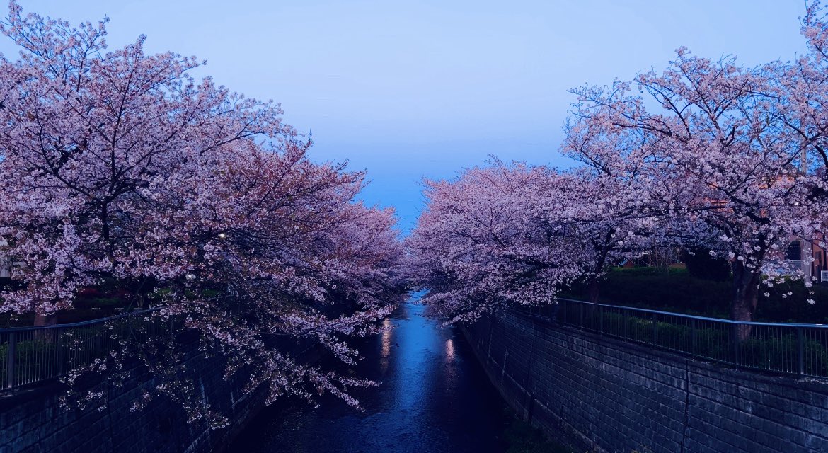 komokappa's tweet image. 「#Lastnote」
夜明けを狙って撮影。