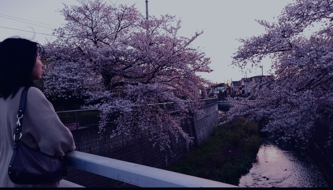 komokappa's tweet image. 「#Lastnote」
夜明けを狙って撮影。