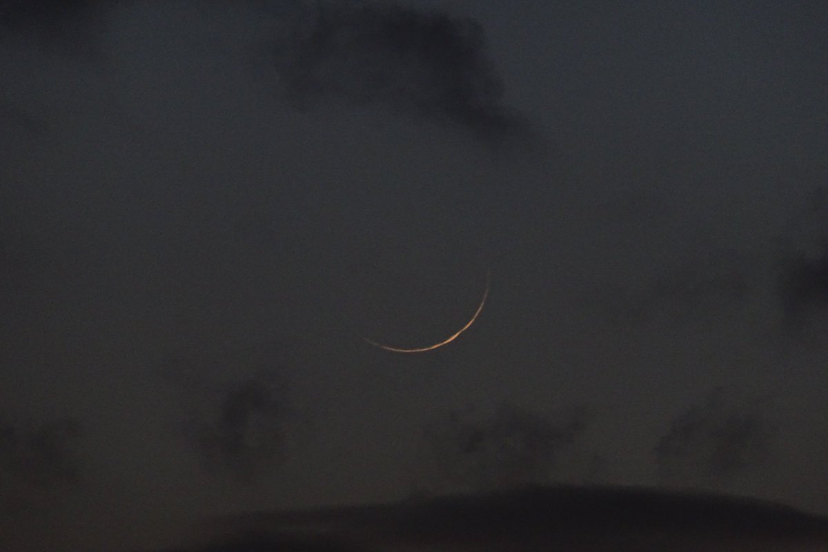 Dr Emma Alexander tweet media