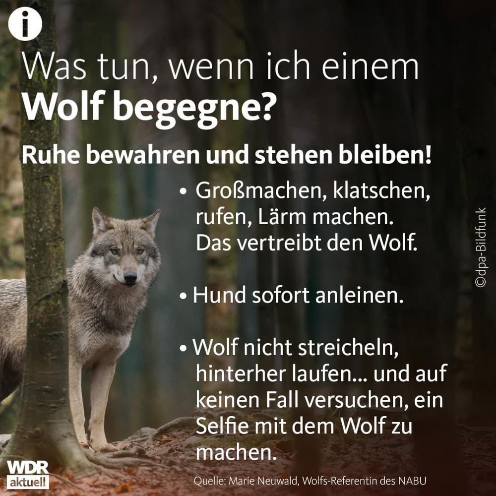 Hier noch ein Tipp.
#Servicetweet #retweeetplease #wolfgirl #wolf