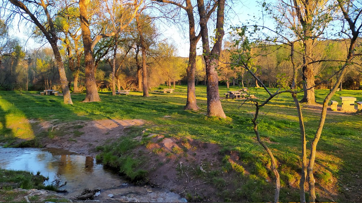 No todo va a ser montaña! tambien hay  lugares en mi pueblo que son monte🤣y hasta tienen mesitas para relajarte! 
Tardecita en la Chopera envuelto en  una primavera desbordante🌺❤
#manzanareselreal