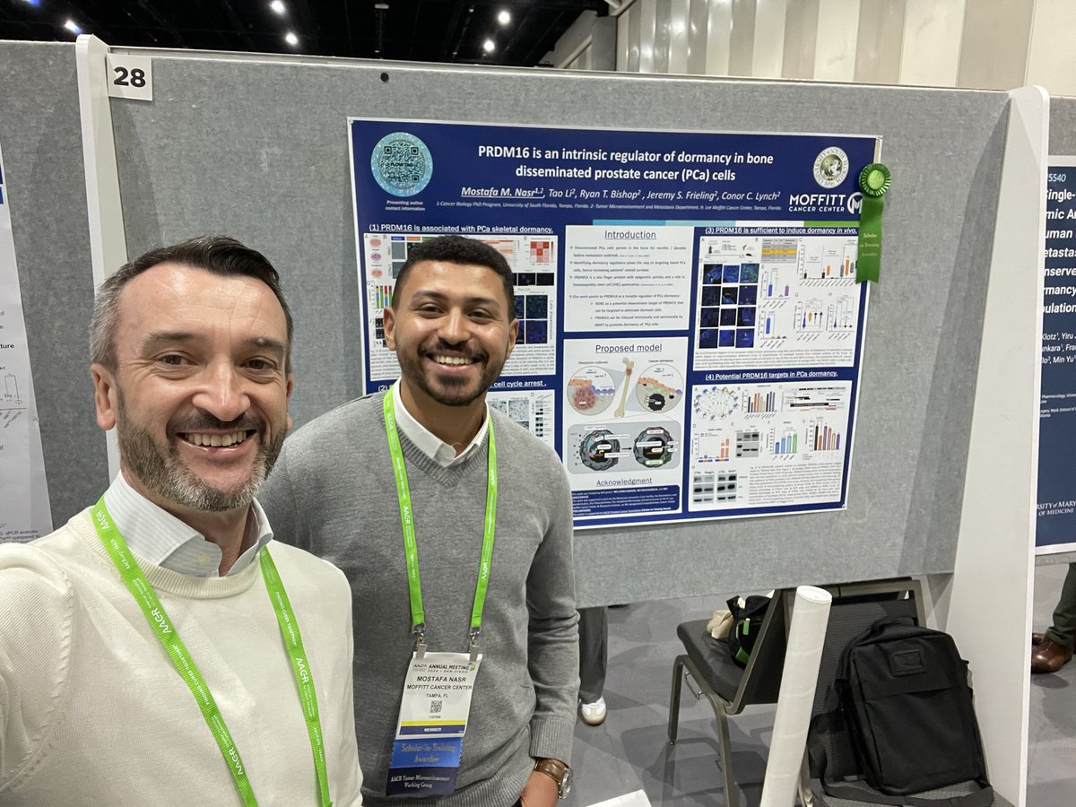 Don’t miss your opportunity to chat with @Mostafanasr_phd about prostate cancer dormancy in bone at the Tuesday afternoon session - section 11 #28 #AACR24 @CancerBiol_PhD @MoffittNews